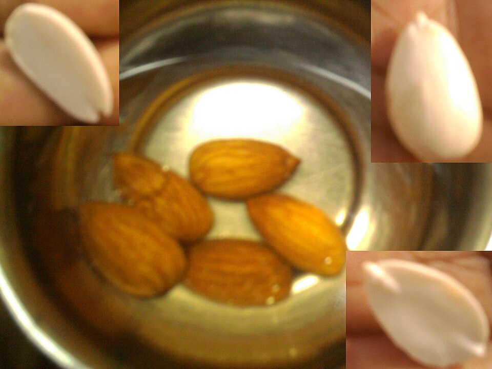 Almonds In-Shell — Sattarbai Grade