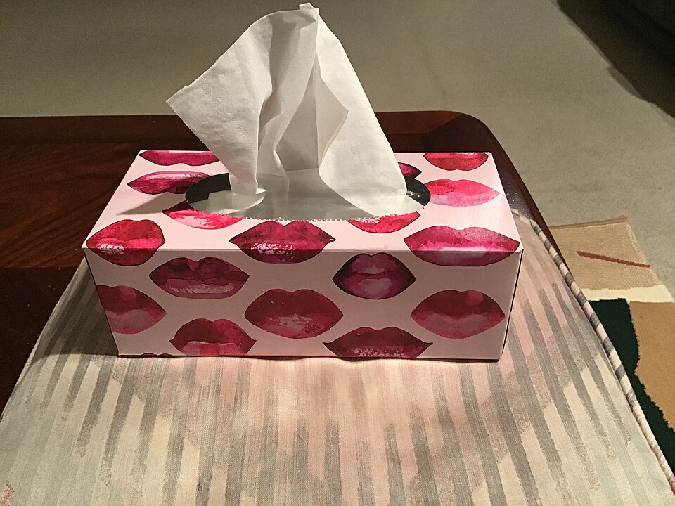 Alokozay Facial Tissue — 2-Ply (display box case)