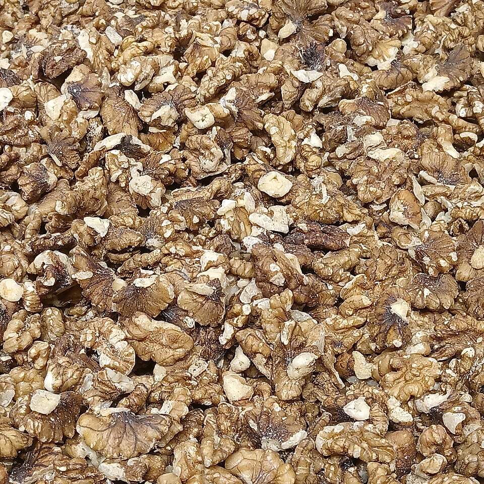 Walnut Kernel — Light Halves