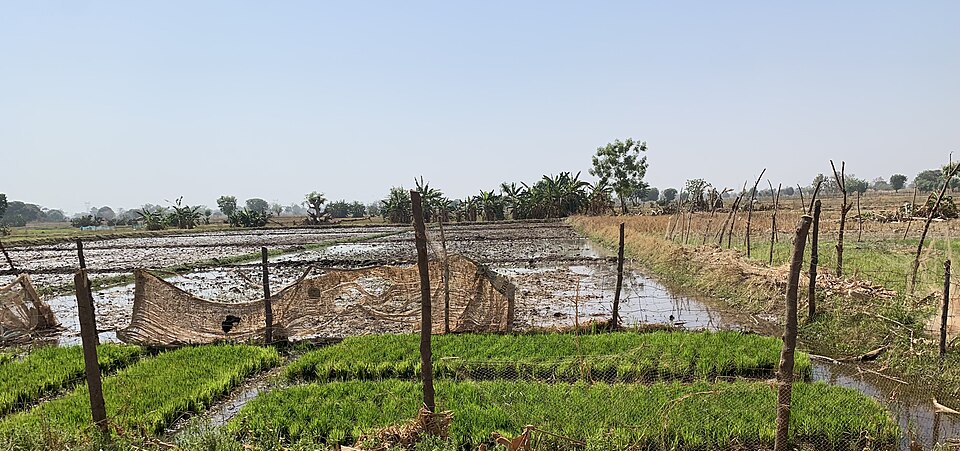 Shamal Agri Supplies logo